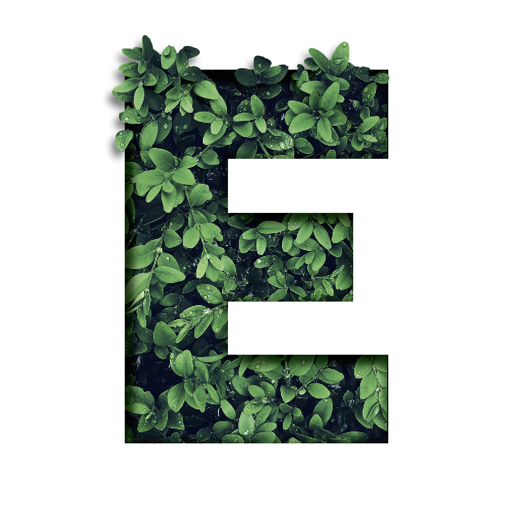 Der Buchstabe E mit Blättern