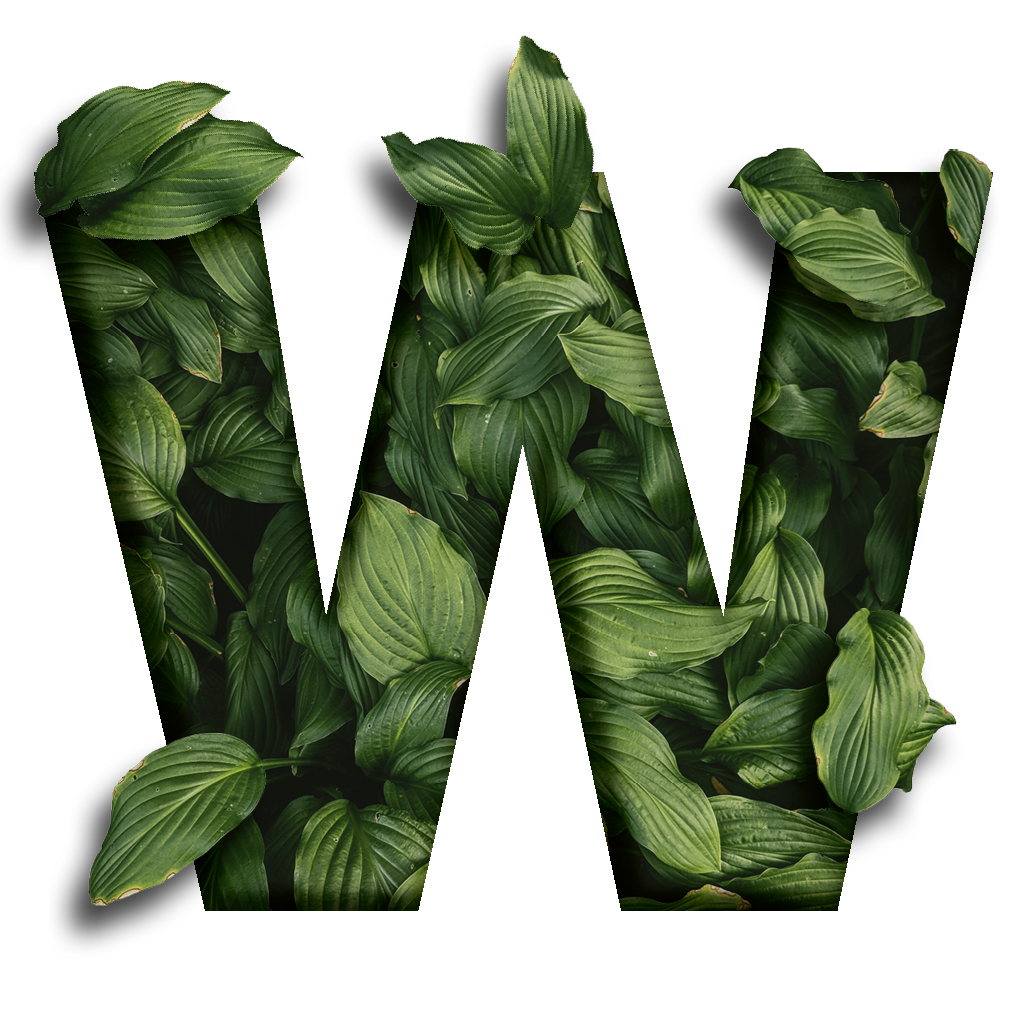 Der Buchstabe W mit Blättern